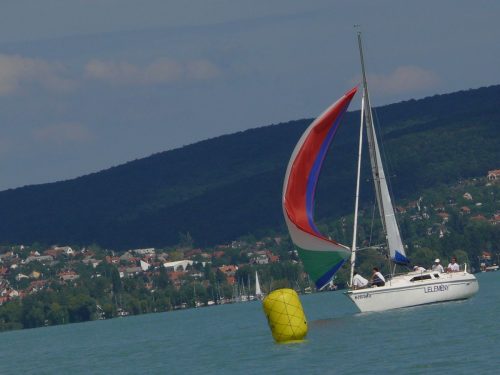 Dolphi 26 7