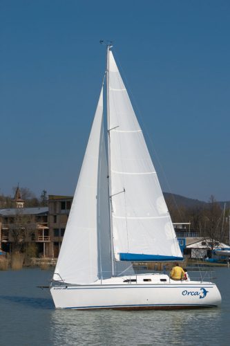 Dolphi 28 3