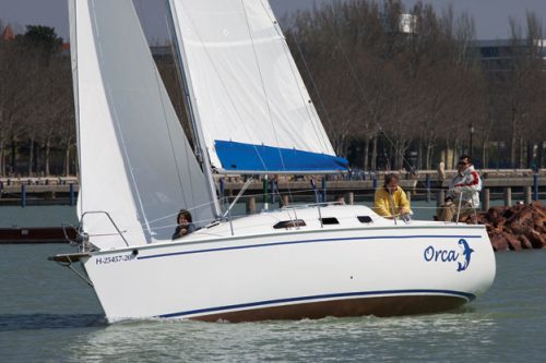 Dolphi 28 8