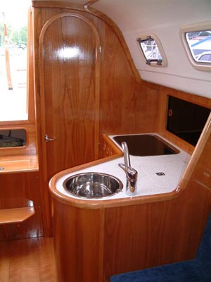 Dolphin 28