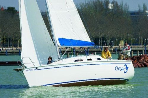 Dolphi 28 SC 10