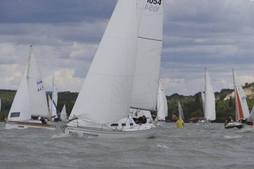 Dolphi 28 SC 3