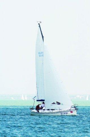 Dolphi 28 SC 4
