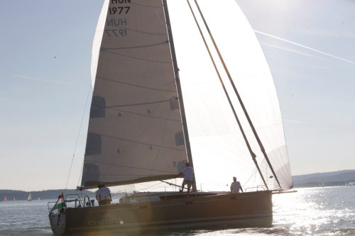 D38 29